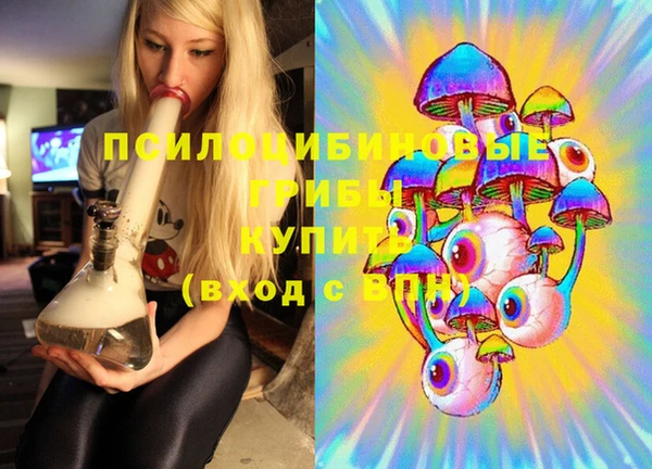 метадон Касимов