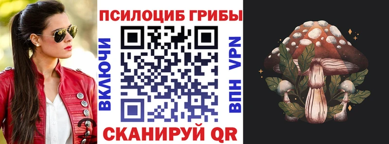 Галлюциногенные грибы MAGIC MUSHROOMS  Купить закладки  Горнозаводск 